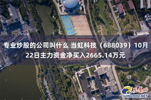 专业炒股的公司叫什么 当虹科技（688039）10月22日主力资金净买入2665.14万元